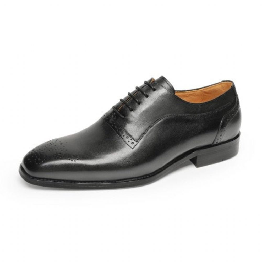 Chaussures Formelles Pour Hommes À Lacets Classiques Cuir Exotique - Noir