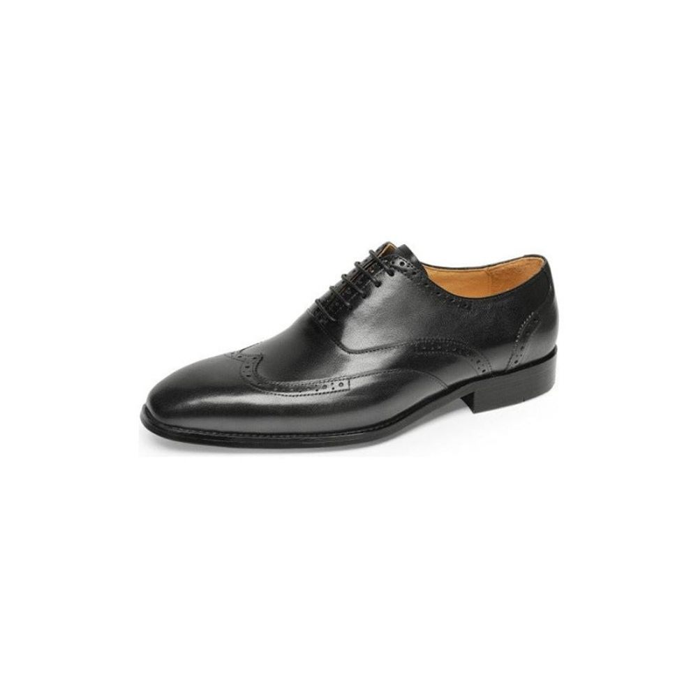 Chaussures Formelles Pour Hommes À Lacets Classiques Cuir Exotique - Noir