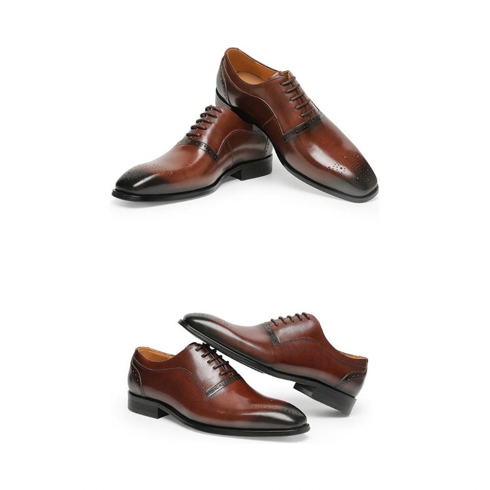 Chaussures Formelles Pour Hommes À Lacets Classiques Cuir Exotique - Café 1