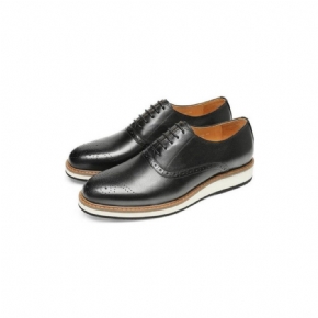 Chaussures Formelles Pour Hommes À Lacets Créateur Cuir Vache