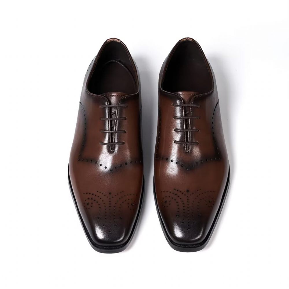 Chaussures Formelles Pour Hommes À Lacets Cuir Chic Professionnel - Marron