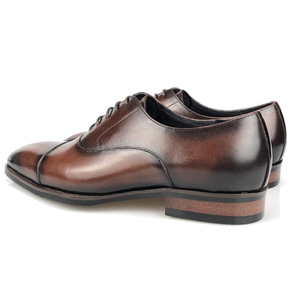 Chaussures Formelles Pour Hommes À Lacets Cuir Richelieu - Café