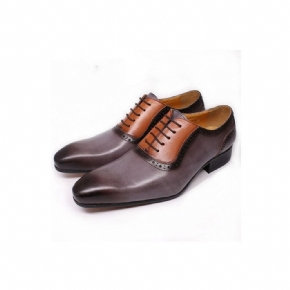 Chaussures Formelles Pour Hommes À Lacets Exotiques Bout Pointu Oxford