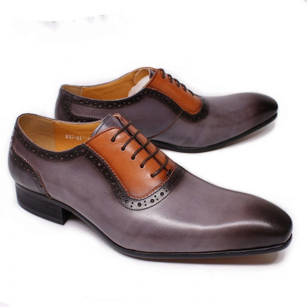 Chaussures Formelles Pour Hommes À Lacets Exotiques Bout Pointu Oxford - Gris