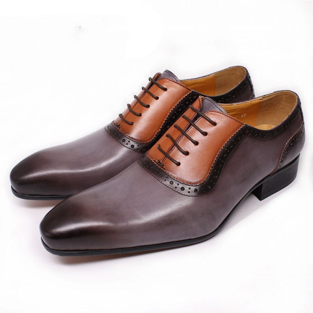 Chaussures Formelles Pour Hommes À Lacets Exotiques Bout Pointu Oxford - Gris