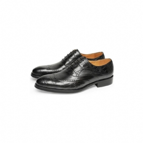 Chaussures Formelles Pour Hommes À Lacets Motif Alligator Bout Pointu Oxford