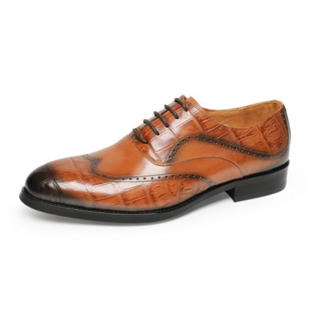 Chaussures Formelles Pour Hommes À Lacets Motif Alligator Bout Pointu Oxford - Marron