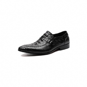 Chaussures Formelles Pour Hommes Luxe Cuir Crocodile Avec Sangle À Boucle Habillées Oxford