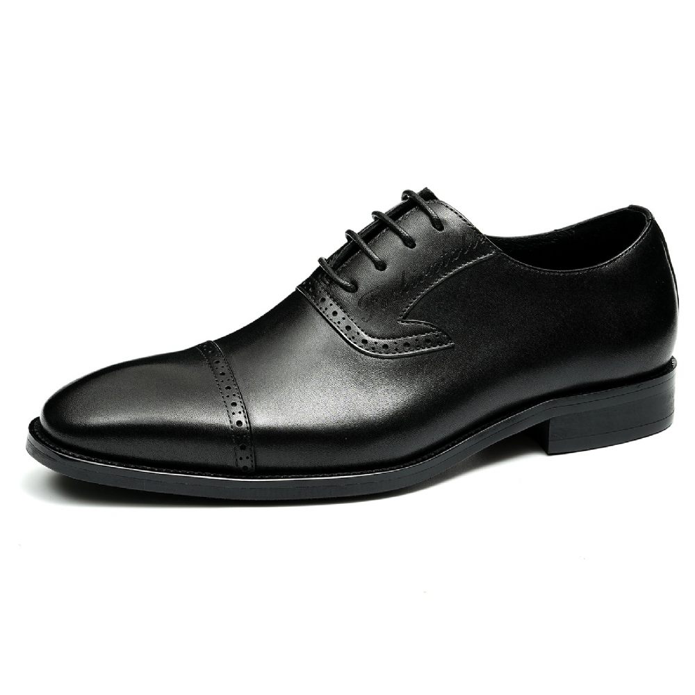 Chaussures Formelles Pour Hommes Luxe Cuir Exotique À Bout Pointu Oxford