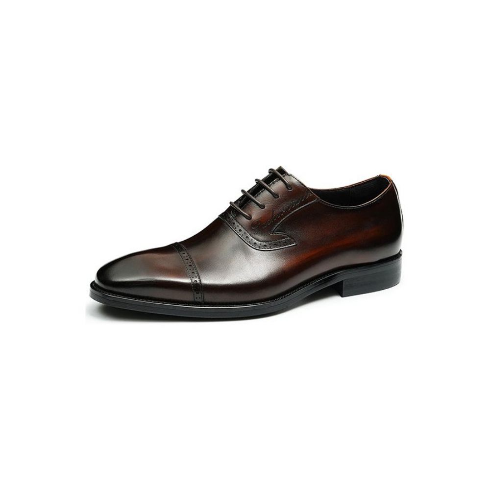 Chaussures Formelles Pour Hommes Luxe Cuir Exotique À Bout Pointu Oxford - Café