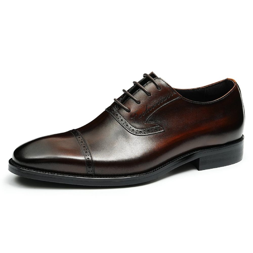 Chaussures Formelles Pour Hommes Luxe Cuir Exotique À Bout Pointu Oxford - Café