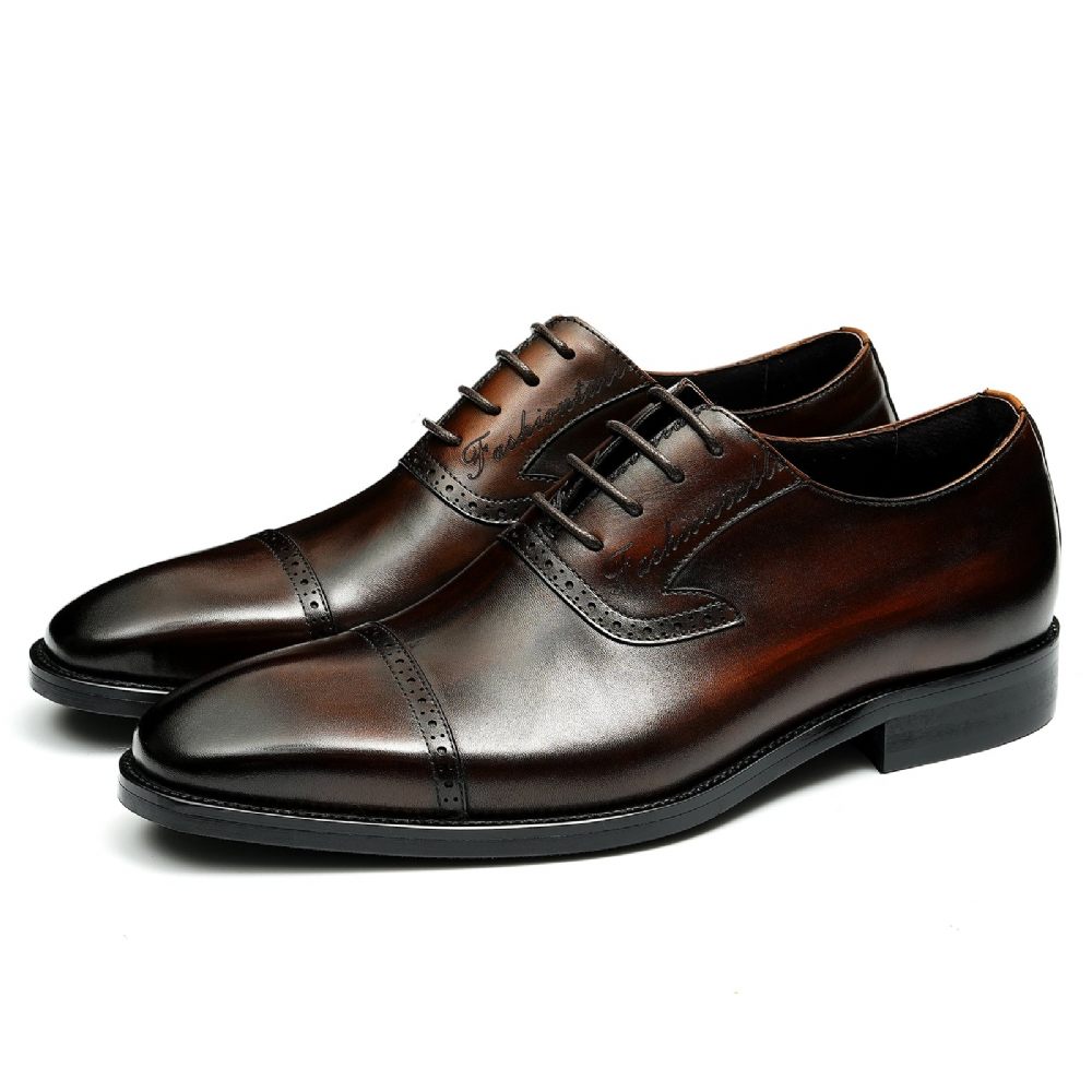 Chaussures Formelles Pour Hommes Luxe Cuir Exotique À Bout Pointu Oxford - Café