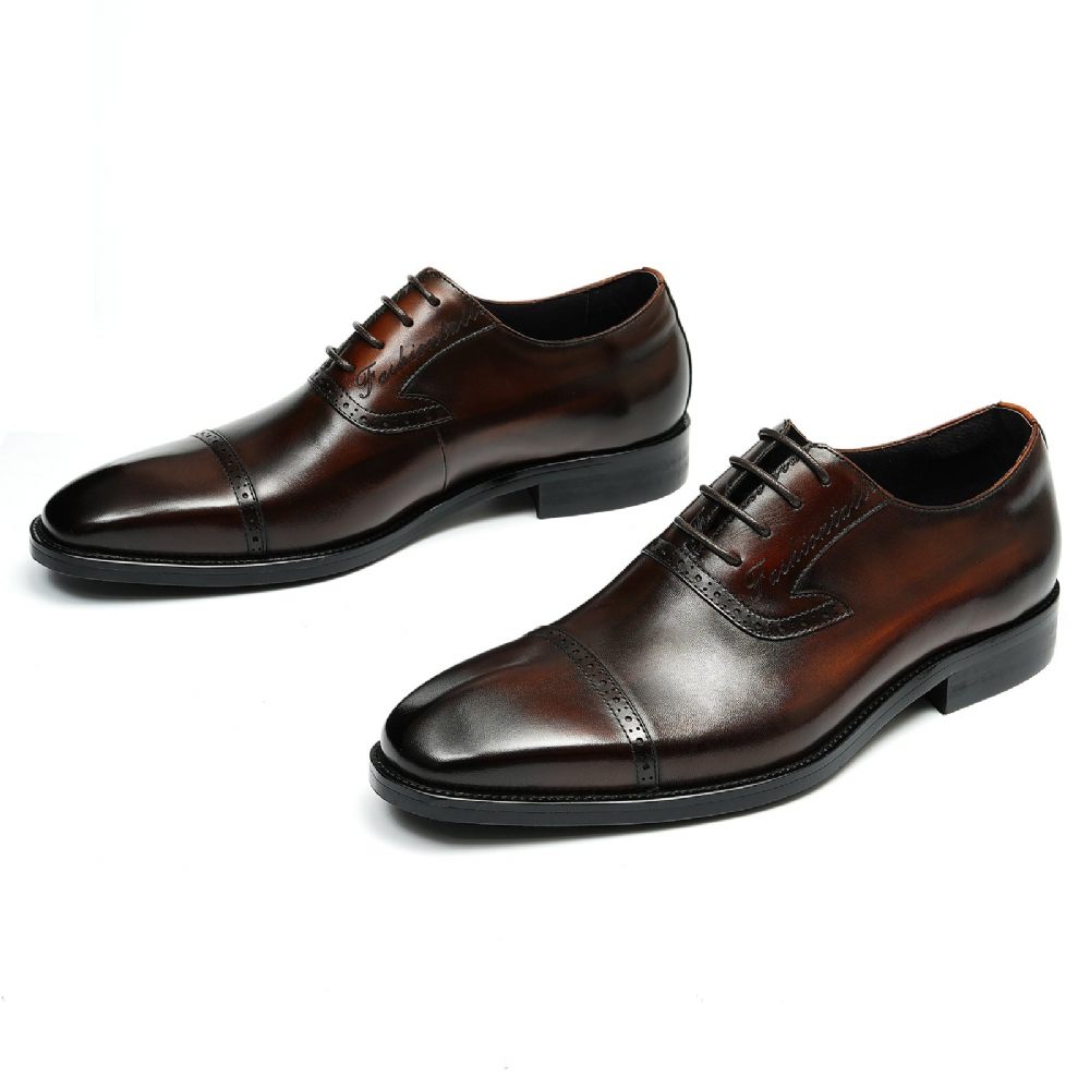 Chaussures Formelles Pour Hommes Luxe Cuir Exotique À Bout Pointu Oxford - Café