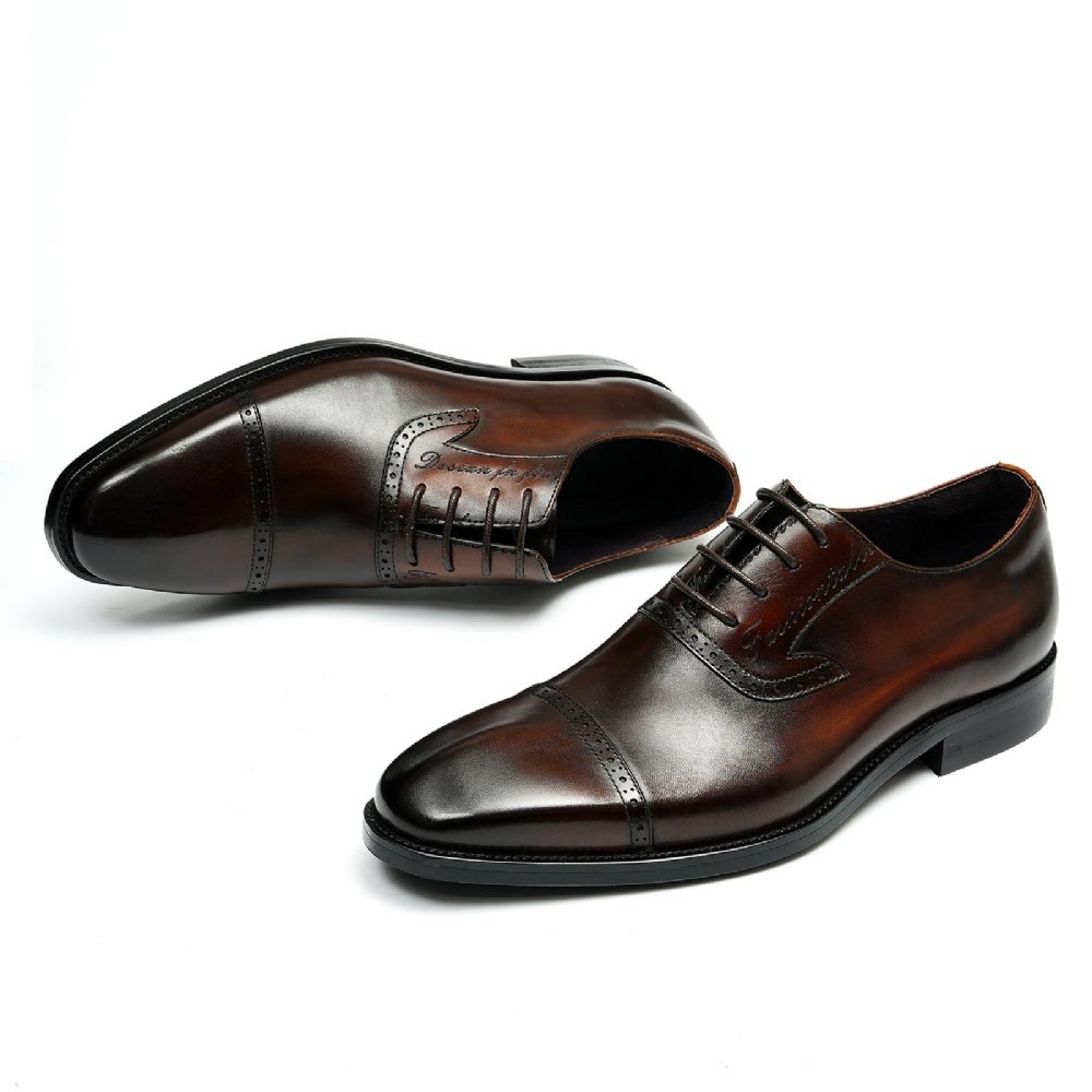 Chaussures Formelles Pour Hommes Luxe Cuir Exotique À Bout Pointu Oxford - Café