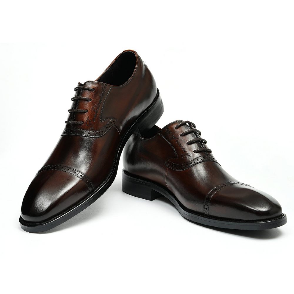 Chaussures Formelles Pour Hommes Luxe Cuir Exotique À Bout Pointu Oxford - Café