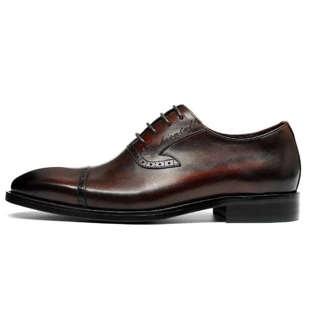 Chaussures Formelles Pour Hommes Luxe Cuir Exotique À Bout Pointu Oxford - Café