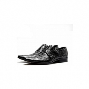 Chaussures Formelles Pour Hommes Luxe À Motif Alligator Bout Pointu Richelieu