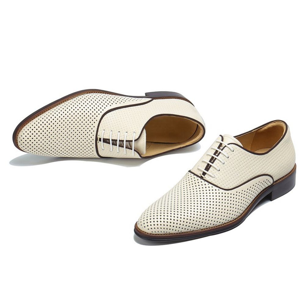 Chaussures Formelles Pour Hommes Mariage Chics À Lacets Et Bout Pointu - Blanc