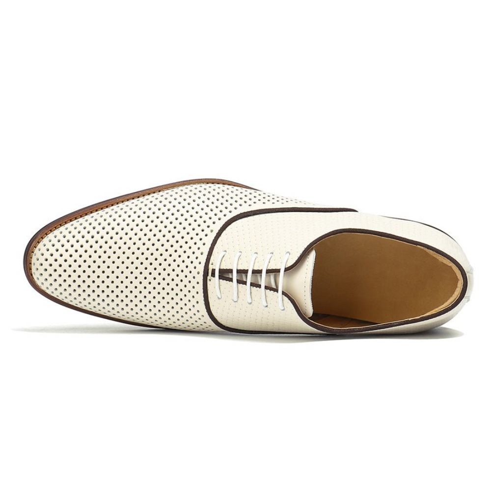 Chaussures Formelles Pour Hommes Mariage Chics À Lacets Et Bout Pointu - Blanc