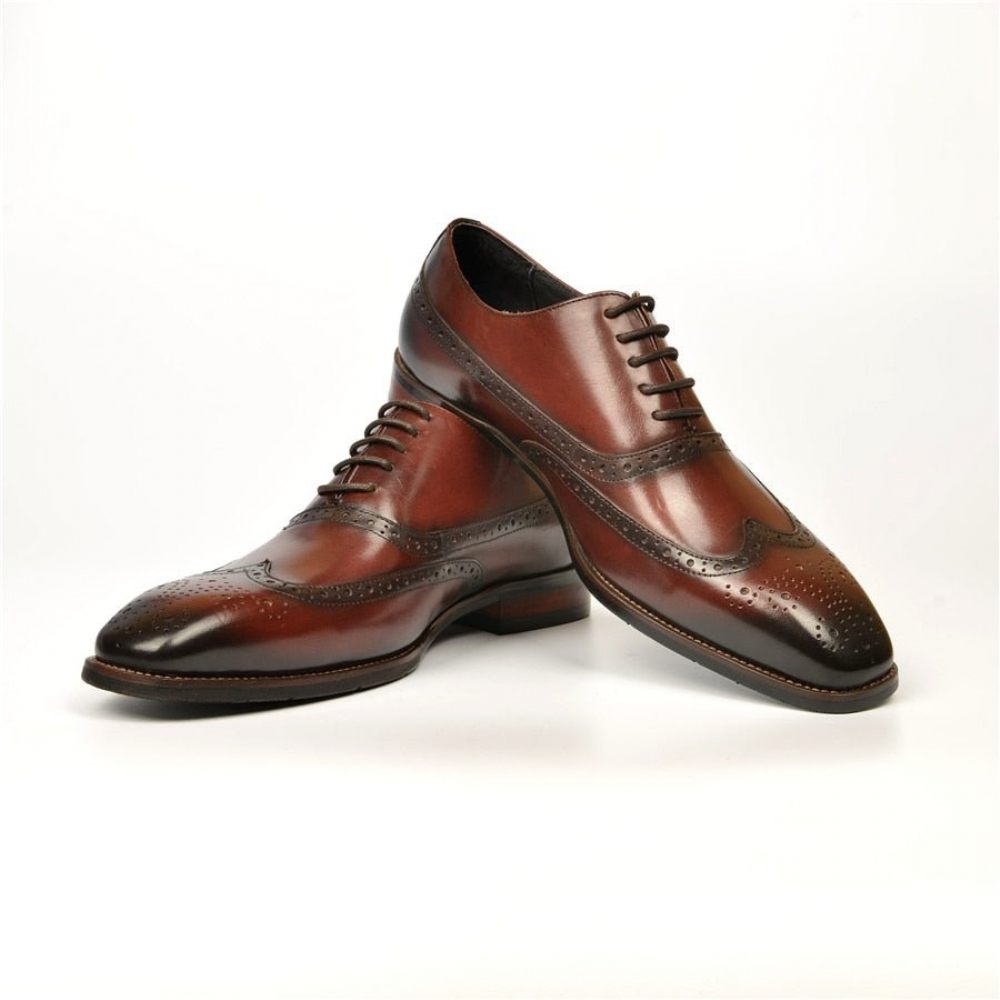 Chaussures Formelles Pour Hommes Mariage À Lacets - Café