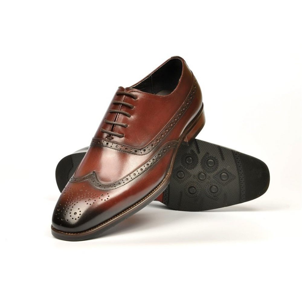 Chaussures Formelles Pour Hommes Mariage À Lacets - Café