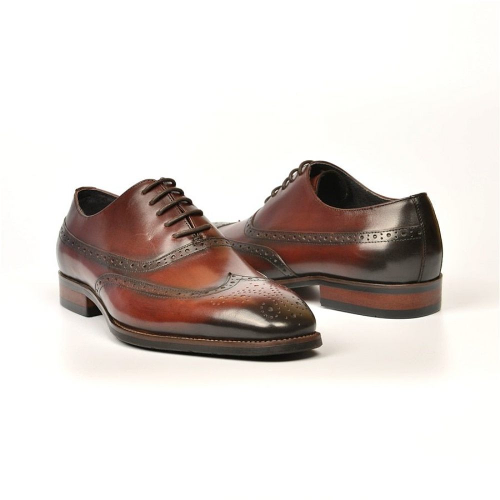 Chaussures Formelles Pour Hommes Mariage À Lacets - Café