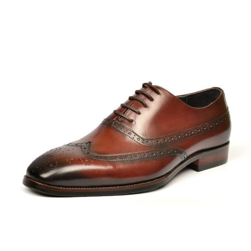 Chaussures Formelles Pour Hommes Mariage À Lacets - Café