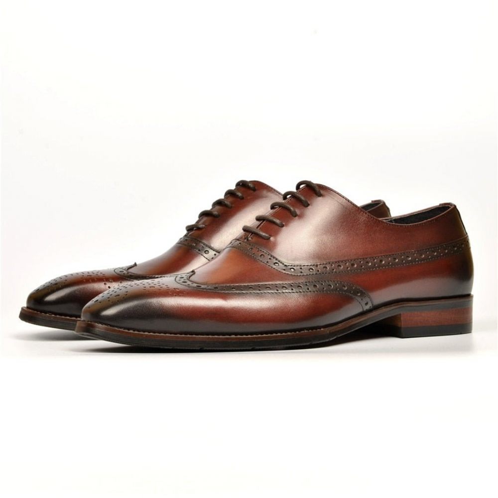 Chaussures Formelles Pour Hommes Mariage À Lacets - Café