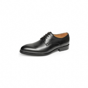 Chaussures Formelles Pour Hommes Mariage Luxe Cuir Exotique Pointu Oxfords