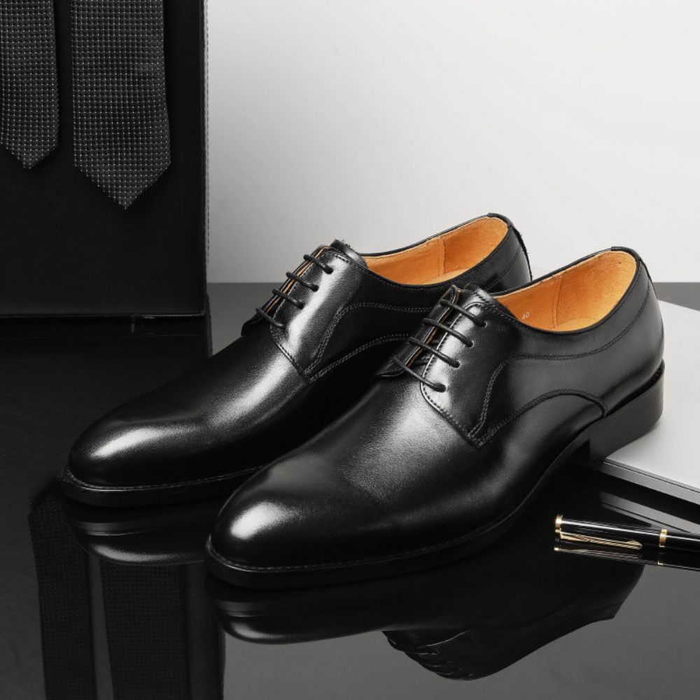 Chaussures Formelles Pour Hommes Mariage Luxe Cuir Exotique Pointu Oxfords - Noir