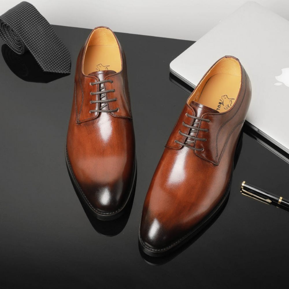 Chaussures Formelles Pour Hommes Mariage Luxe Cuir Exotique Pointu Oxfords - Café