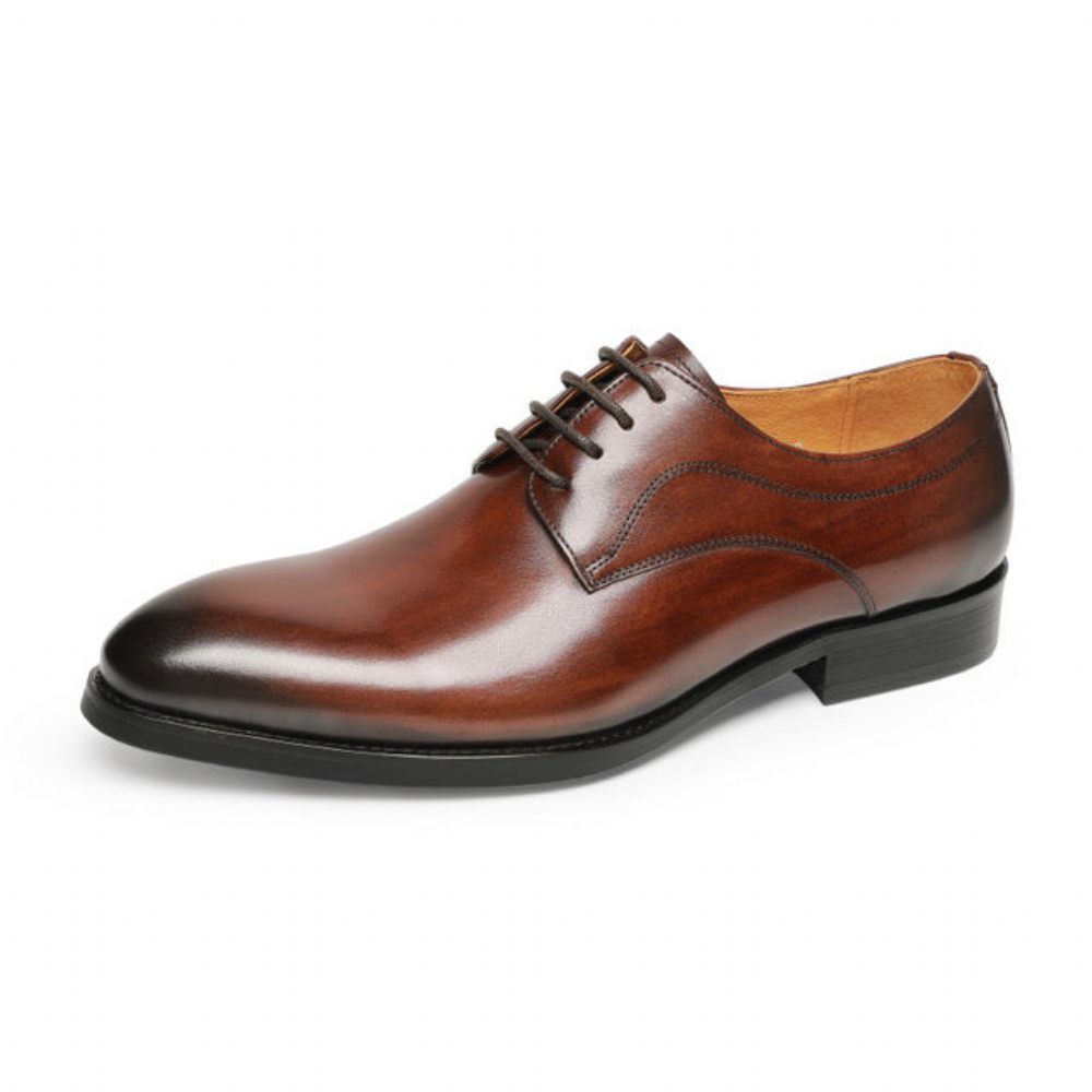 Chaussures Formelles Pour Hommes Mariage Luxe Cuir Exotique Pointu Oxfords - Café