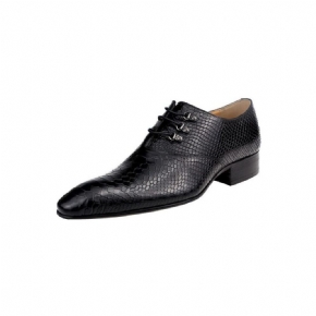 Chaussures Formelles Pour Hommes Opulent Crocprint Habillées Oxford À Bout Pointu