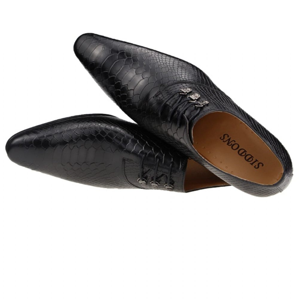 Chaussures Formelles Pour Hommes Opulent Crocprint Habillées Oxford À Bout Pointu - Noir