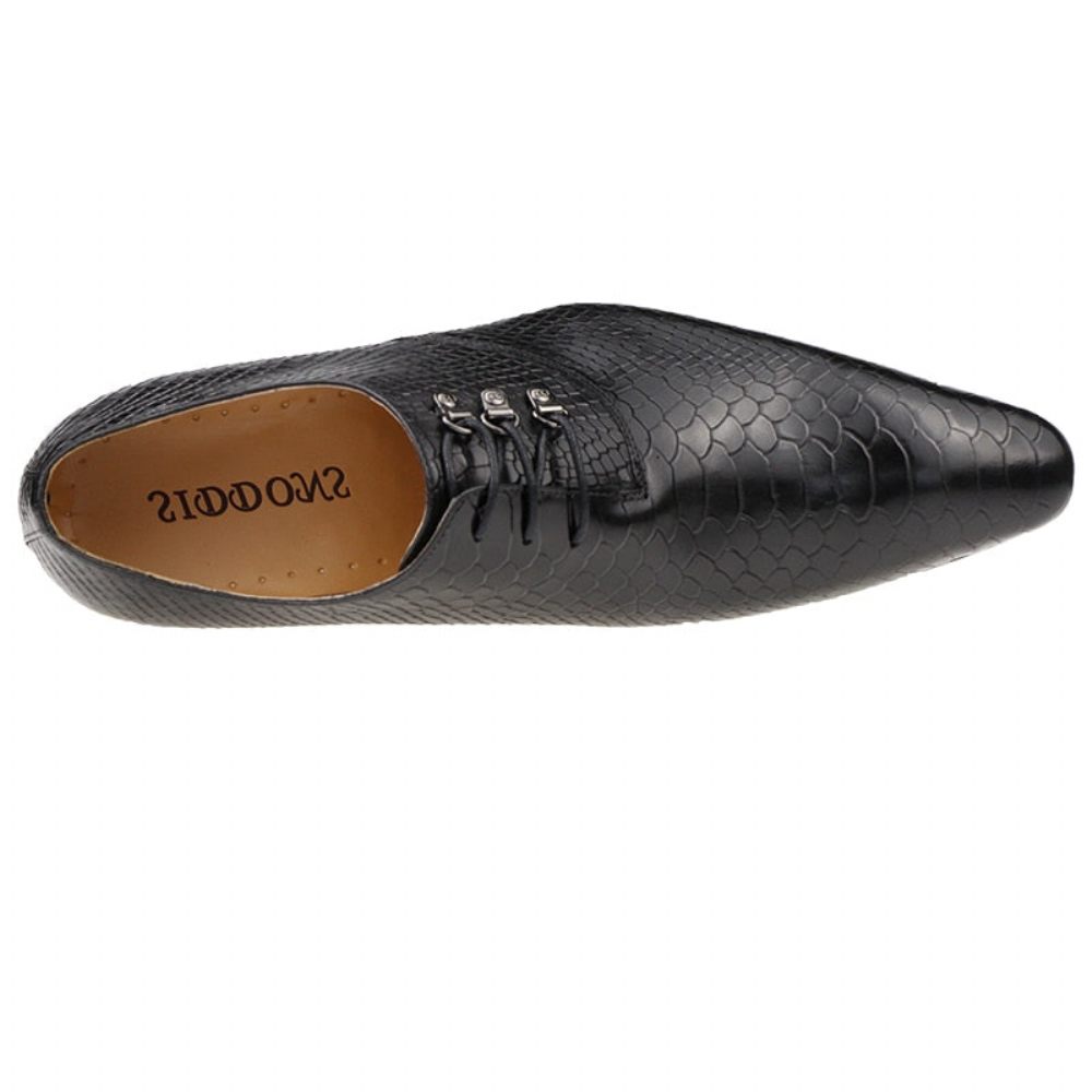 Chaussures Formelles Pour Hommes Opulent Crocprint Habillées Oxford À Bout Pointu - Noir