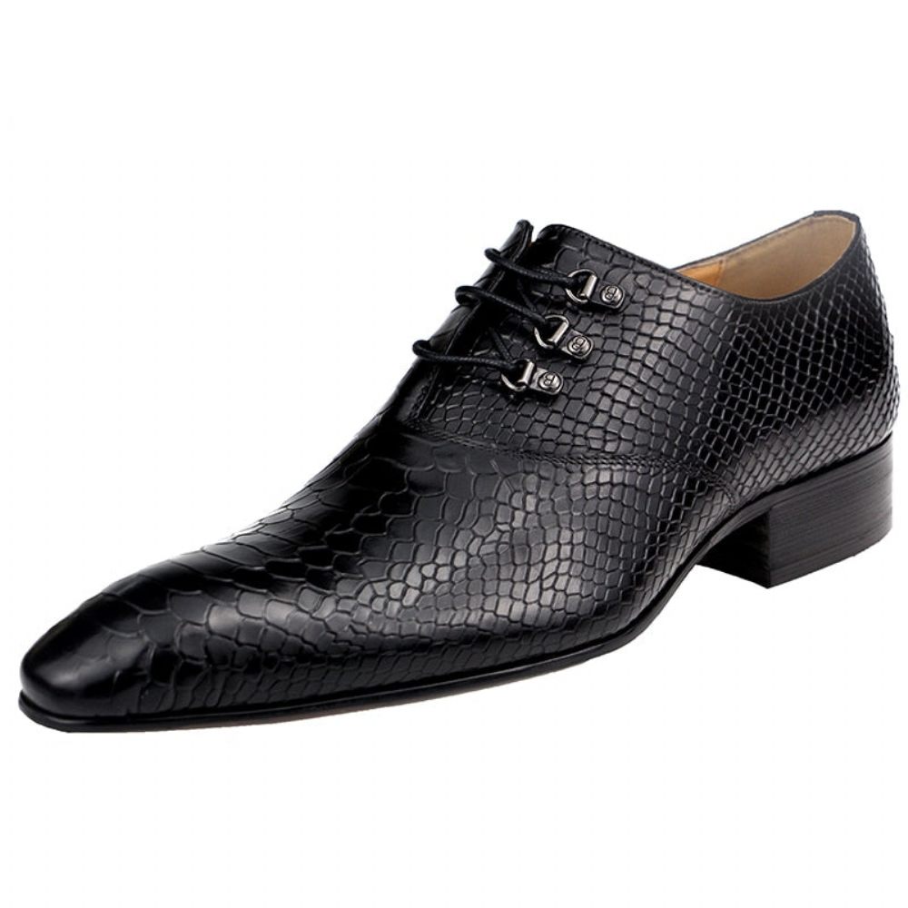 Chaussures Formelles Pour Hommes Opulent Crocprint Habillées Oxford À Bout Pointu - Noir