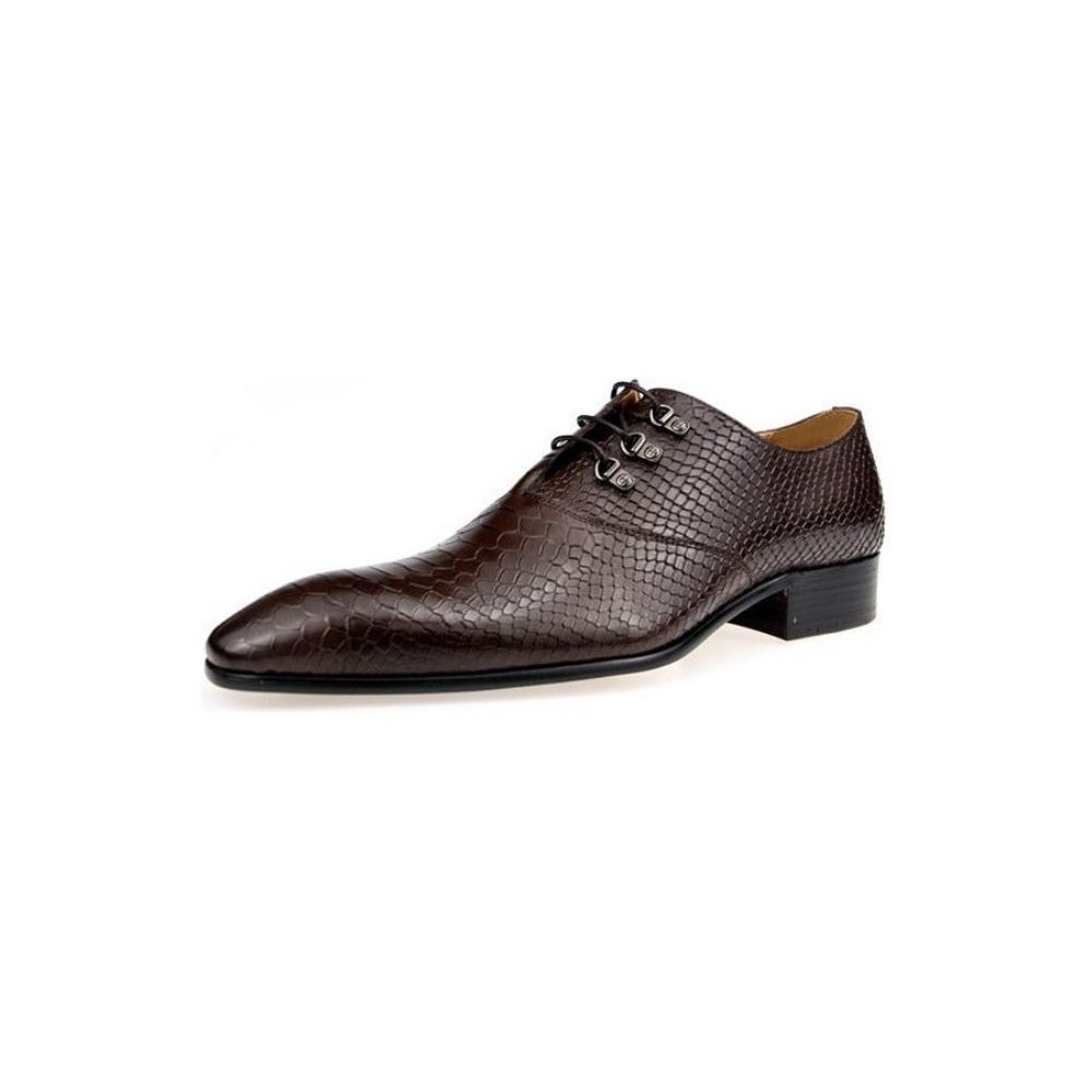 Chaussures Formelles Pour Hommes Opulent Crocprint Habillées Oxford À Bout Pointu - Café