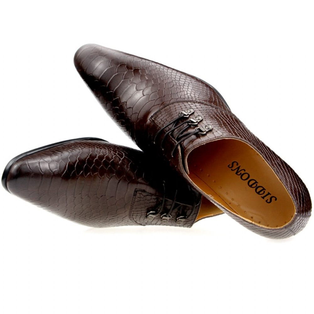 Chaussures Formelles Pour Hommes Opulent Crocprint Habillées Oxford À Bout Pointu - Café