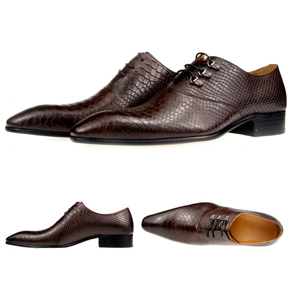 Chaussures Formelles Pour Hommes Opulent Crocprint Habillées Oxford À Bout Pointu - Café