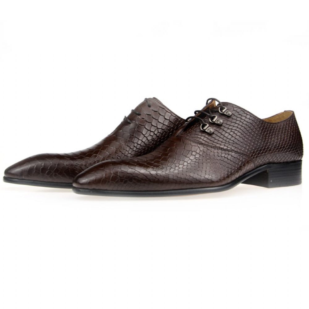 Chaussures Formelles Pour Hommes Opulent Crocprint Habillées Oxford À Bout Pointu - Café