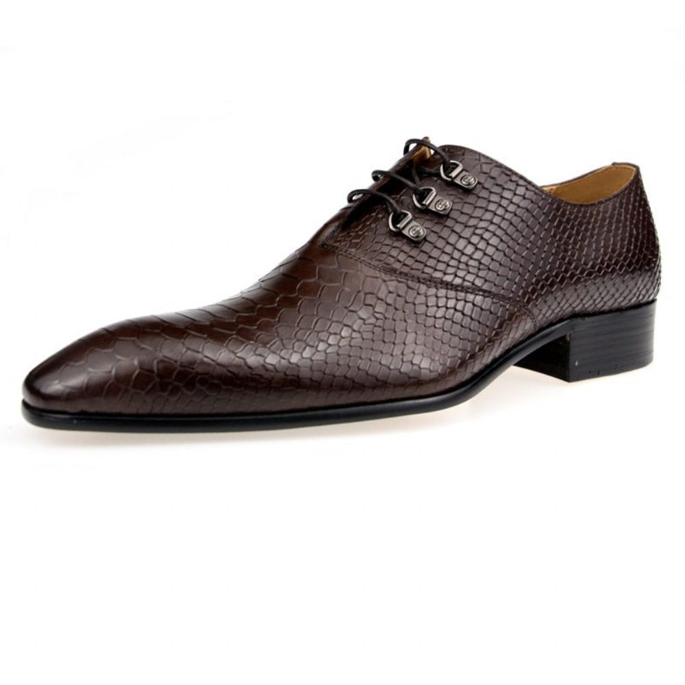 Chaussures Formelles Pour Hommes Opulent Crocprint Habillées Oxford À Bout Pointu - Café