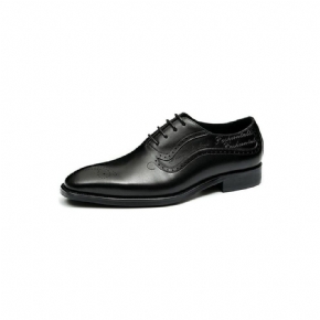 Chaussures Formelles Pour Hommes Opulent Richelieu Sculpté À Lacets Bout Pointu