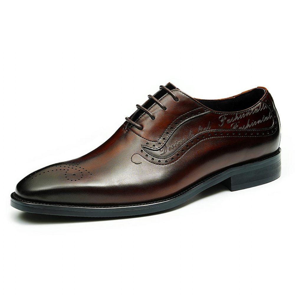 Chaussures Formelles Pour Hommes Opulent Richelieu Sculpté À Lacets Bout Pointu - Café