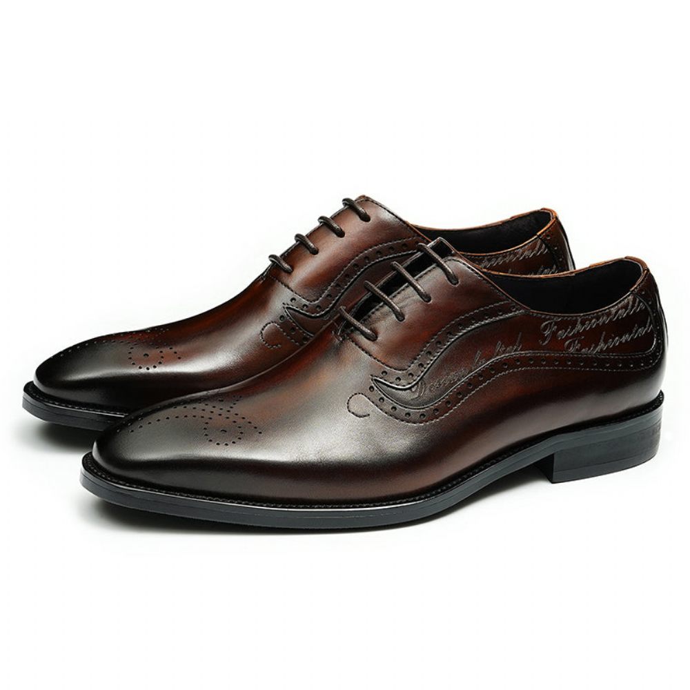 Chaussures Formelles Pour Hommes Opulent Richelieu Sculpté À Lacets Bout Pointu - Café