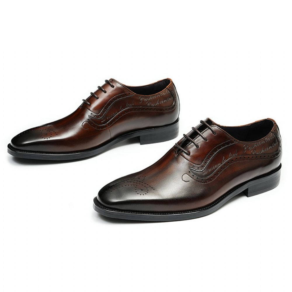 Chaussures Formelles Pour Hommes Opulent Richelieu Sculpté À Lacets Bout Pointu - Café