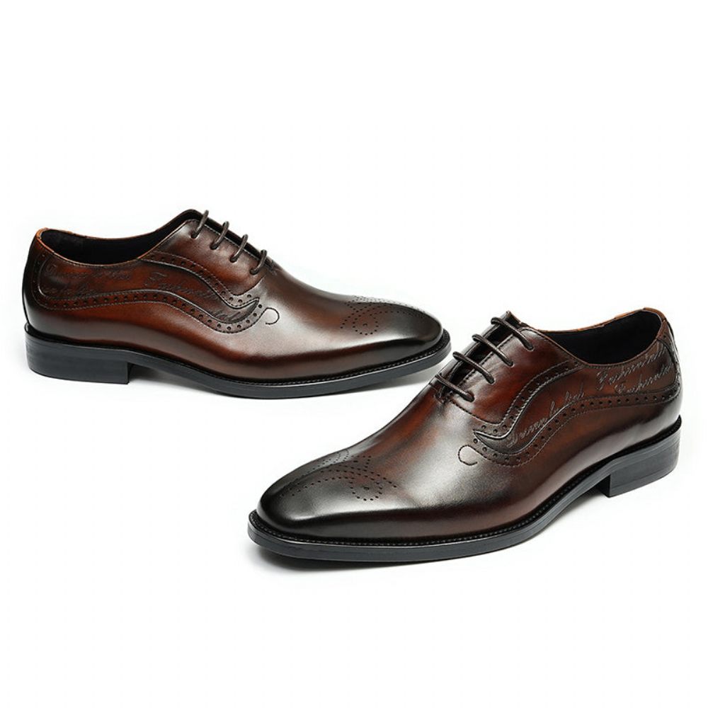 Chaussures Formelles Pour Hommes Opulent Richelieu Sculpté À Lacets Bout Pointu - Café