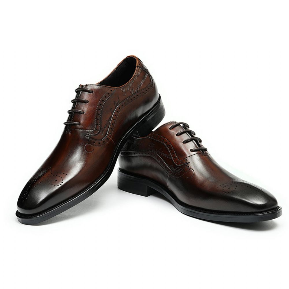 Chaussures Formelles Pour Hommes Opulent Richelieu Sculpté À Lacets Bout Pointu - Café