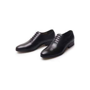 Chaussures Formelles Pour Hommes Oxford À Bout Pointu