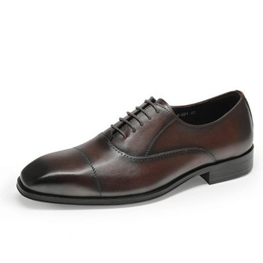 Chaussures Formelles Pour Hommes Oxford À Bout Pointu - Café