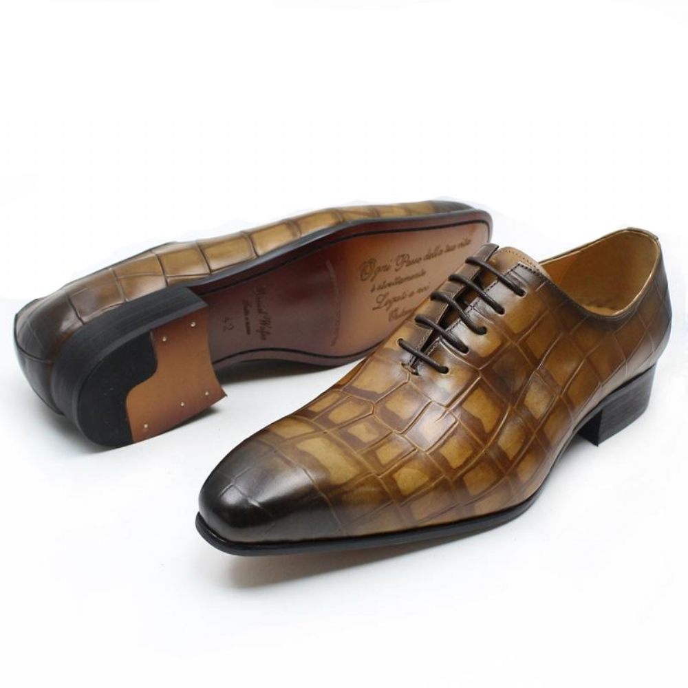 Chaussures Formelles Pour Hommes Oxford À Bout Pointu Cuir Crocodile Opulent - Café